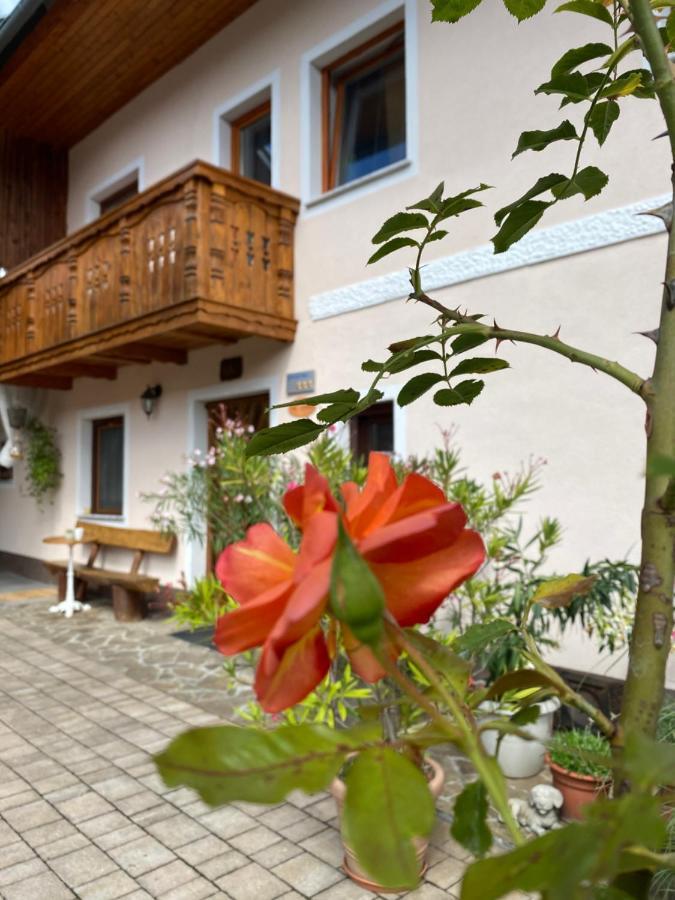 Guesthouse Sabine - Pr' Skminc Bohinjska Bela Exterior foto